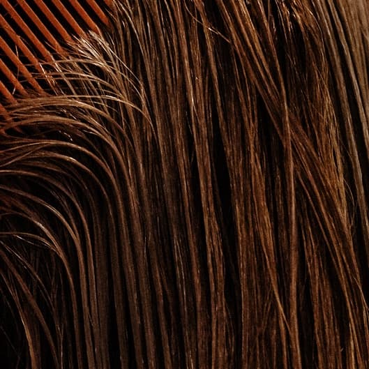 Healthy Hair Series at Belleza x Kate in Lincoln Park, MI